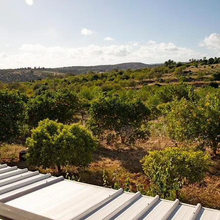 Σπίτι διακοπών Quinta Dos Malhadais, Figueira - *