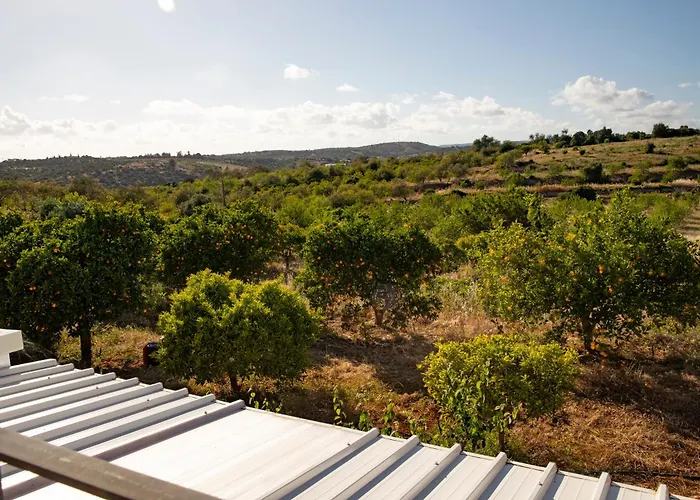 Ferienhaus Quinta Dos Malhadais, Figueira - *